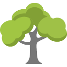 Canopy Pruning