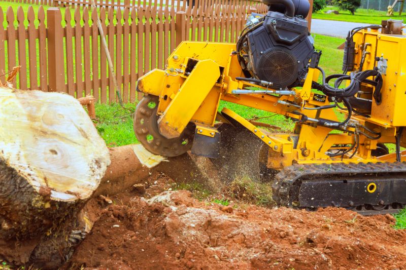 Commercial Stump Grinding in Waldorf, MD