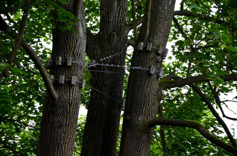 Structural Support Pruning