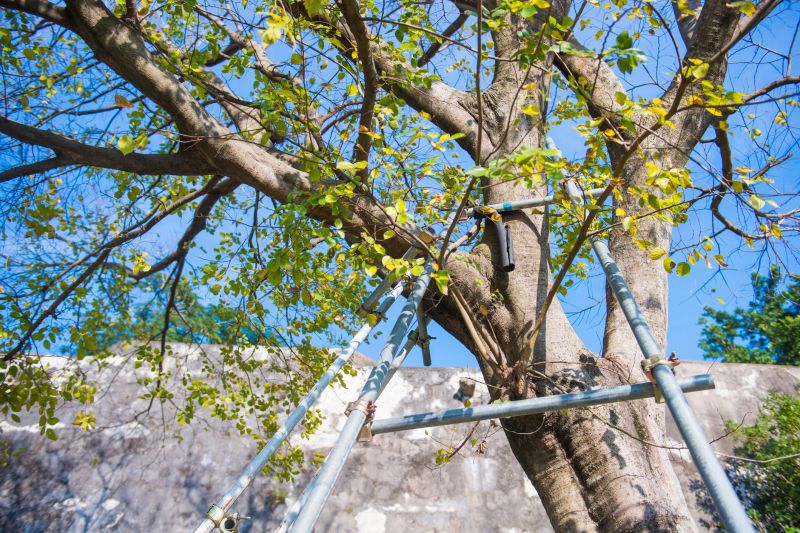 Structural Support Work