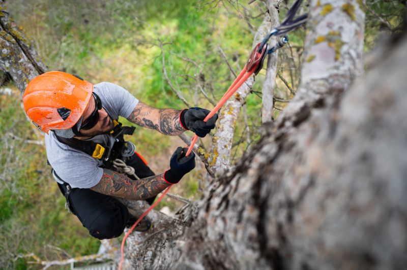 Extend Tree Lifespan
